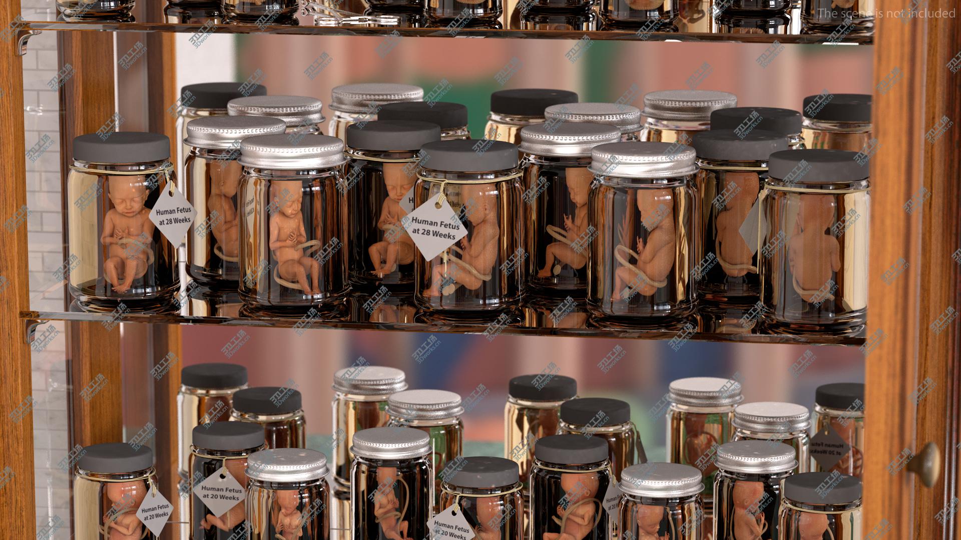 images/goods_img/202104091/Baby Boy at 28 Weeks 3D/5.jpg